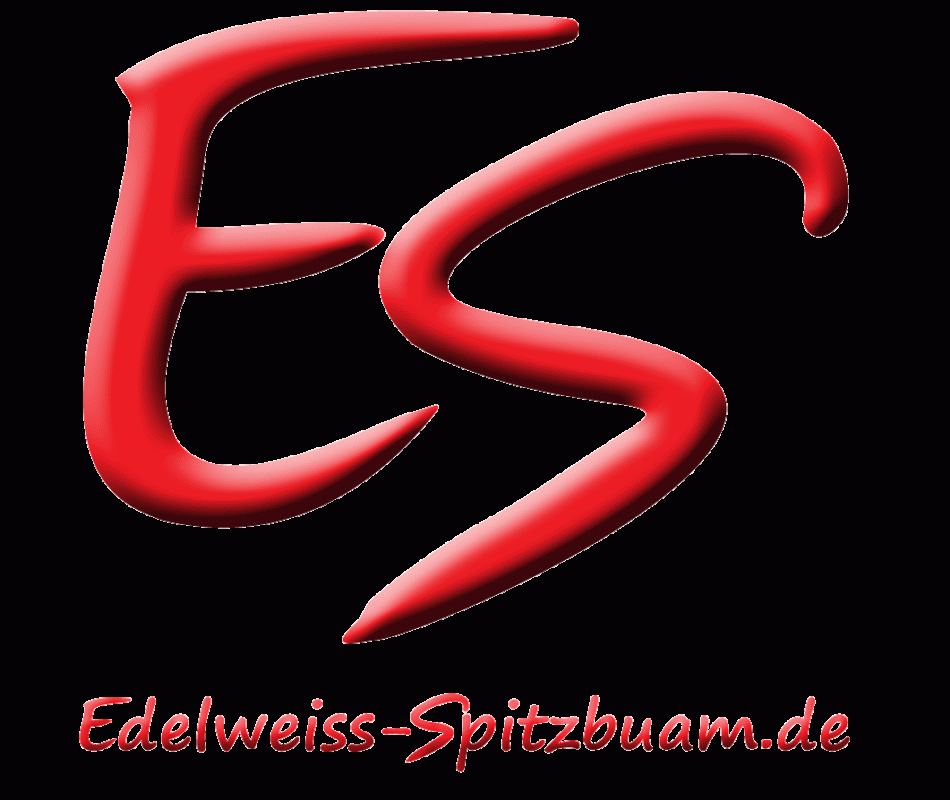 Logo (rot)