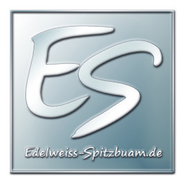 Jubiläums Pin